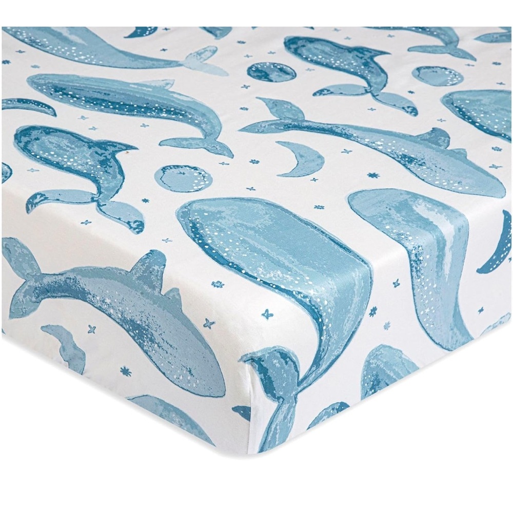 Crane Baby ocean whale